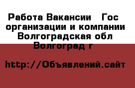 Работа Вакансии - Гос. организации и компании. Волгоградская обл.,Волгоград г.